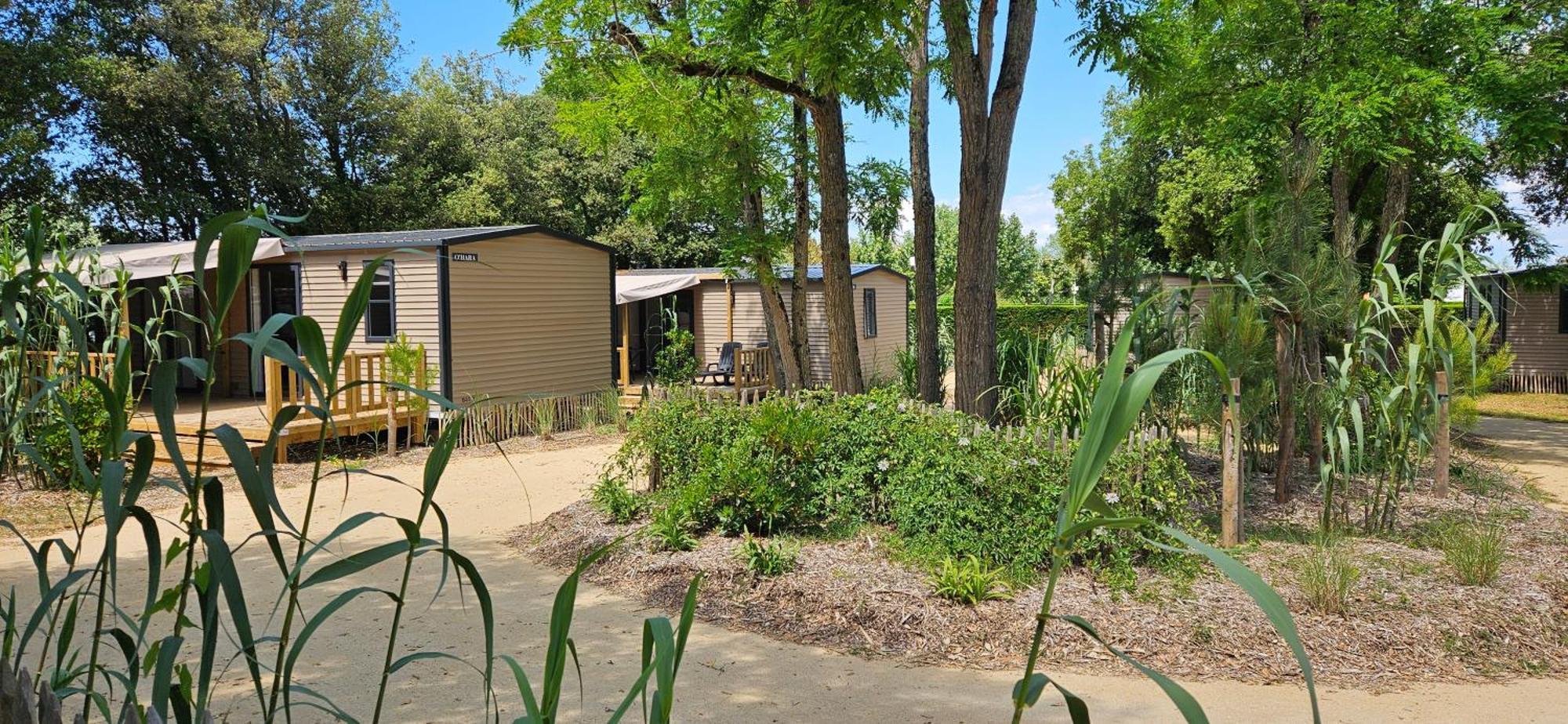 Camping Le Bois Verdon Saint-Jean-de-Monts Eksteriør bilde